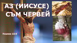 АЗ (ИИСУСЕ) СЪМ ЧЕРВЕЙ. Псалми 22:6