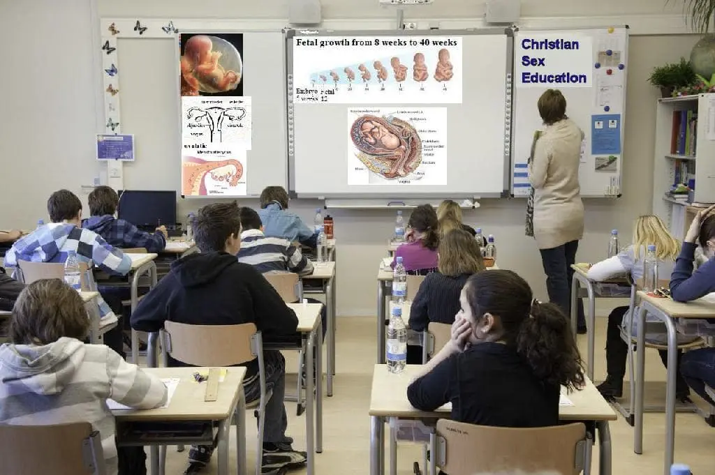 Сексуално образование